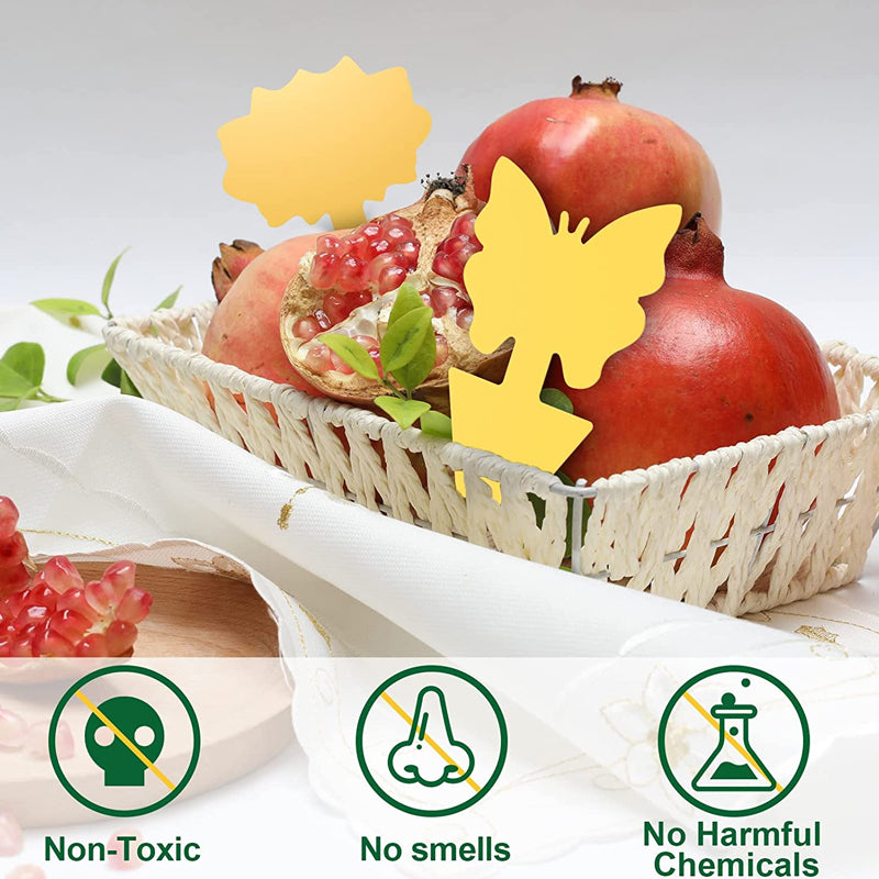 Sticky Trap For Fruit Fly Fungus Gnat